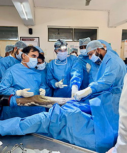 Bos Basic Arthroplasty Course with Dr Supreet Bajwa, Hip & Knee Replacement Surgeon, Mumbai, India