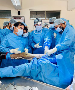 Bos Basic Arthroplasty Course with Dr Supreet Bajwa, Hip & Knee Replacement Surgeon, Mumbai, India