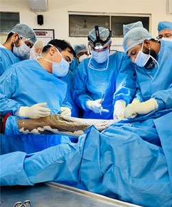 Bos Basic Arthroplasty Course with Dr Supreet Bajwa, Hip & Knee Replacement Surgeon, Mumbai, India